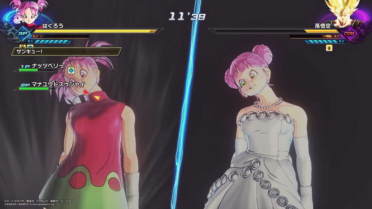 ranfa_x9.jpg